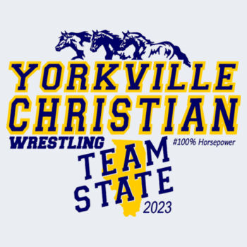 Team State "Personalized" Hoody Design