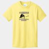 Best Selling Youth Cotton Tee Thumbnail